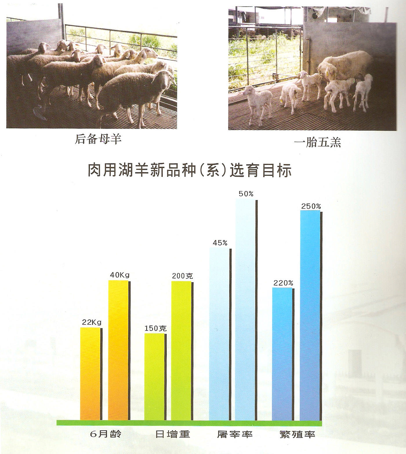 1682503087.jpg image001.jpg